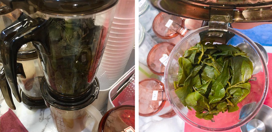 LUYU樂茶:現泡好茶!一絲不苟的職人精神 - 第2張圖 茶