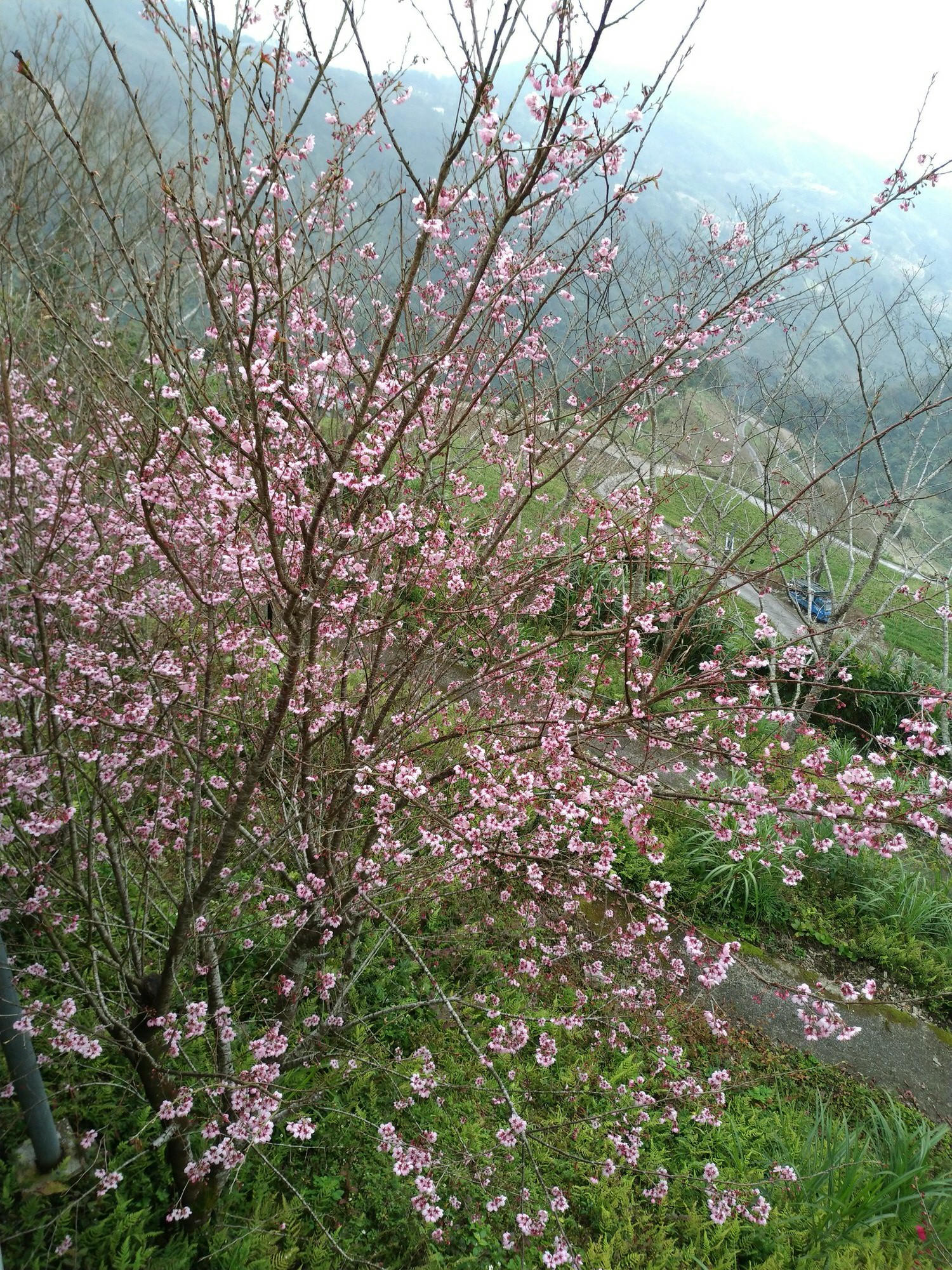 側拍花絮_180224_0065