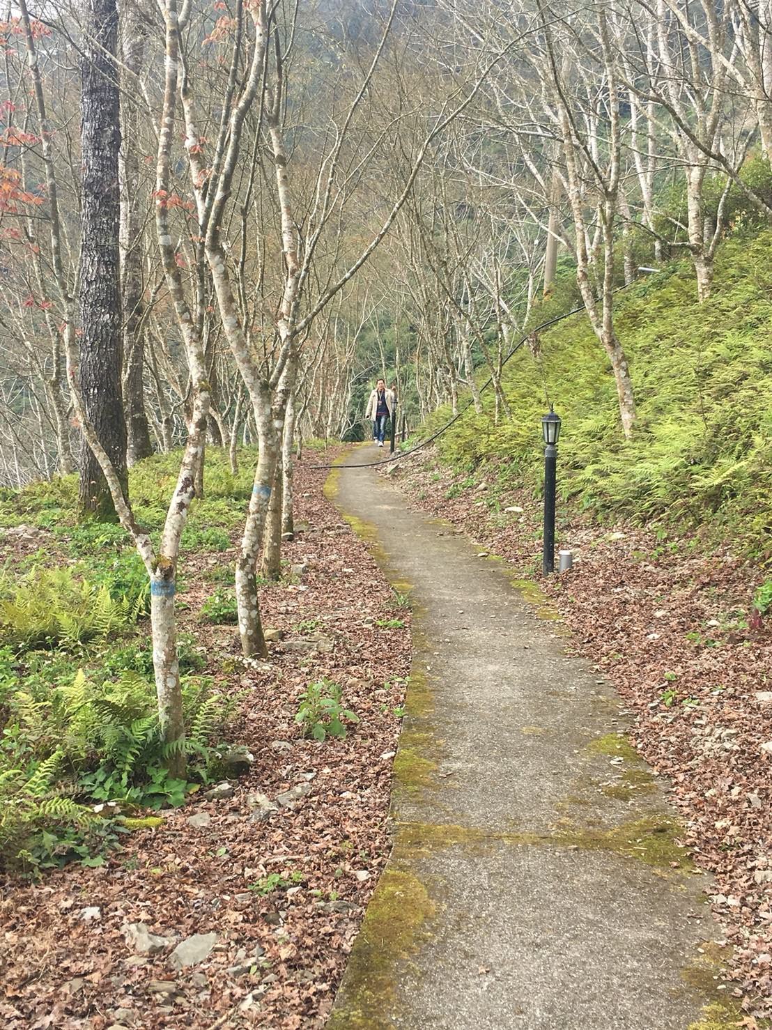 【密室心得|謎霧環山】這是高中畢業旅行大地遊戲吧 - 第8張圖 謎霧環山_180224_0046