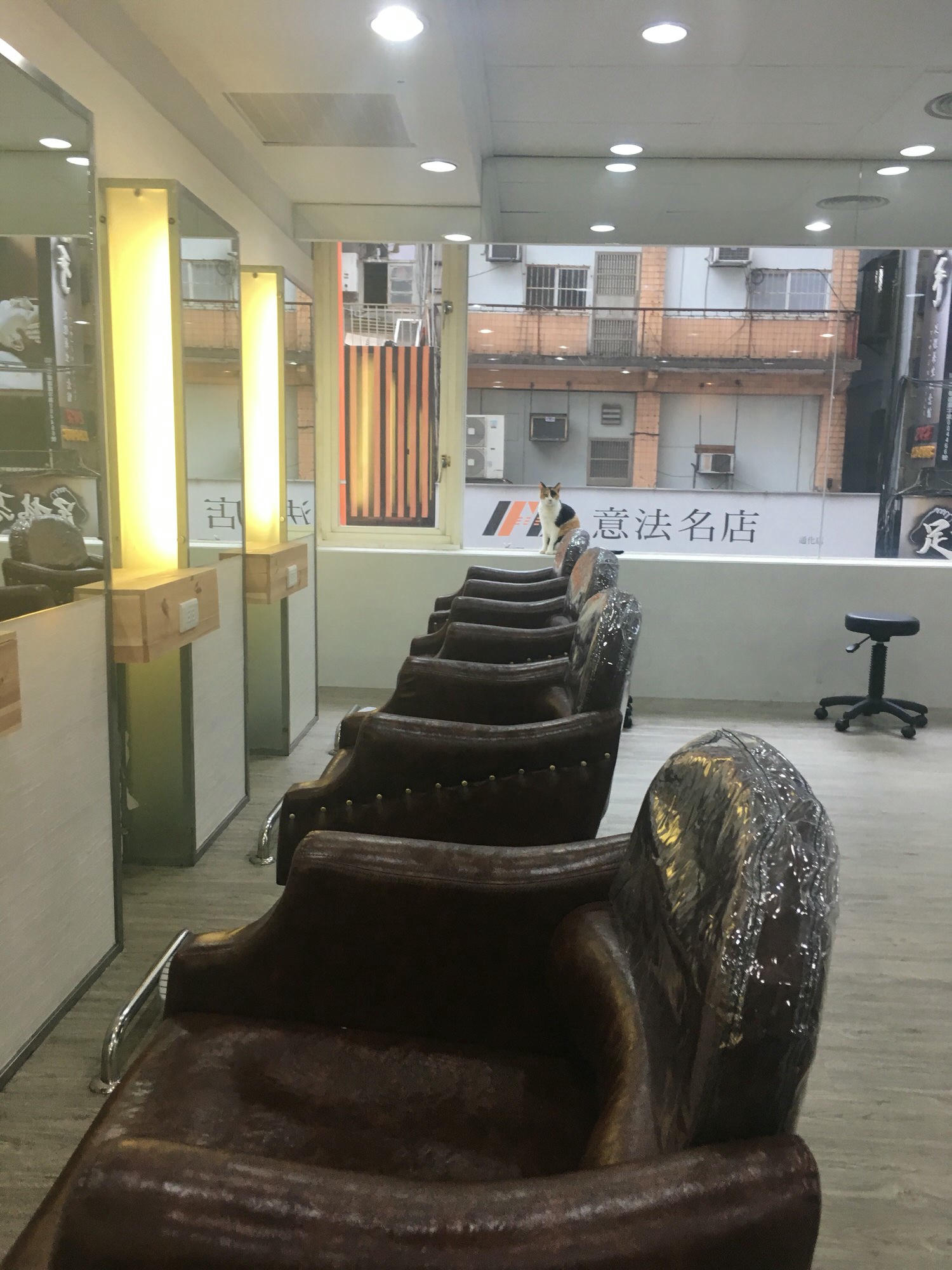 【台北髮廊推薦】A’mour信義店 染護體驗｜深層護髮好重要！分岔髮尾不用修