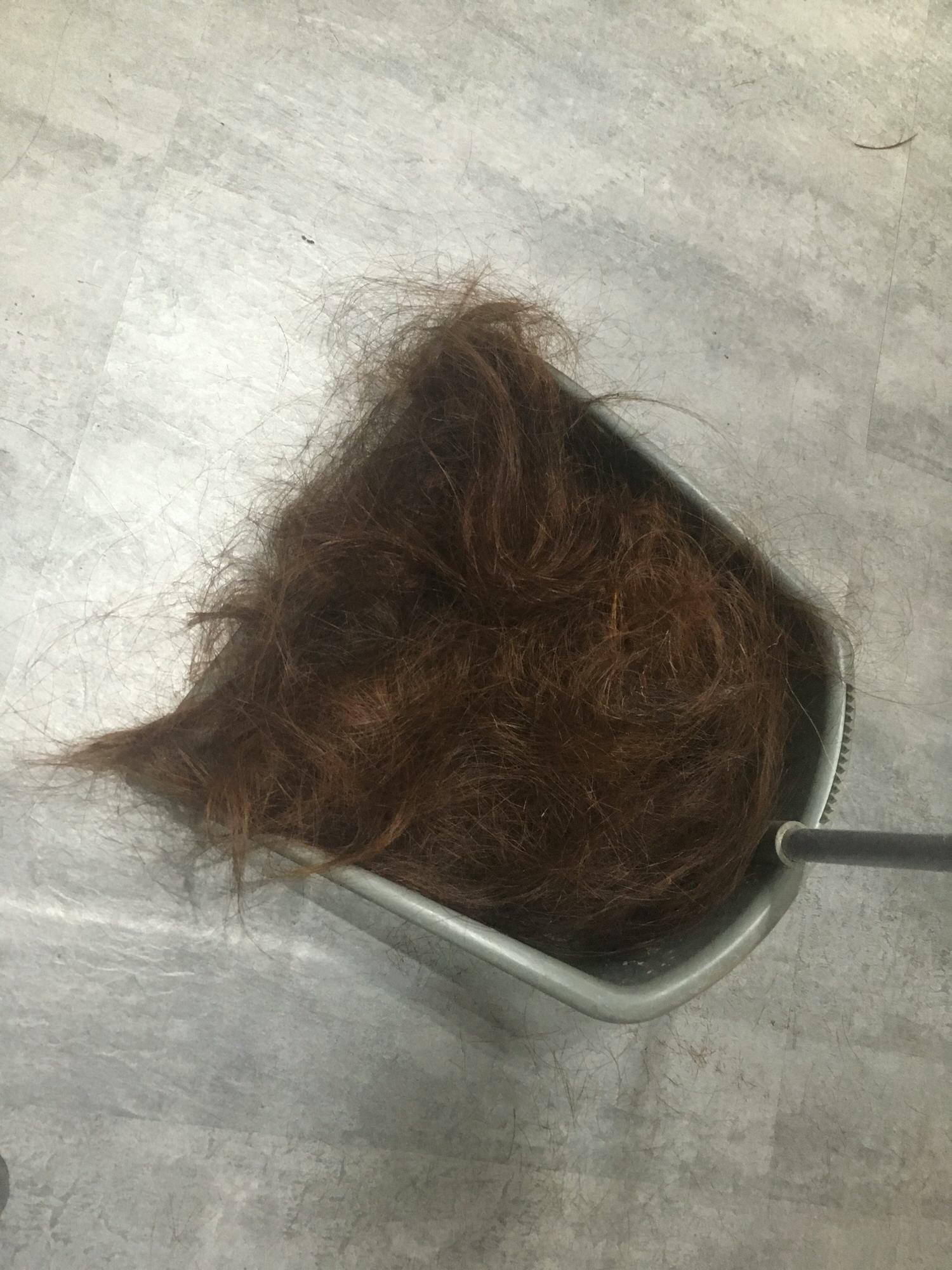 【染燙推薦｜W.D hair salon】台中西屯、福科、中科、東海商圈，貴婦級享受質感沙龍！