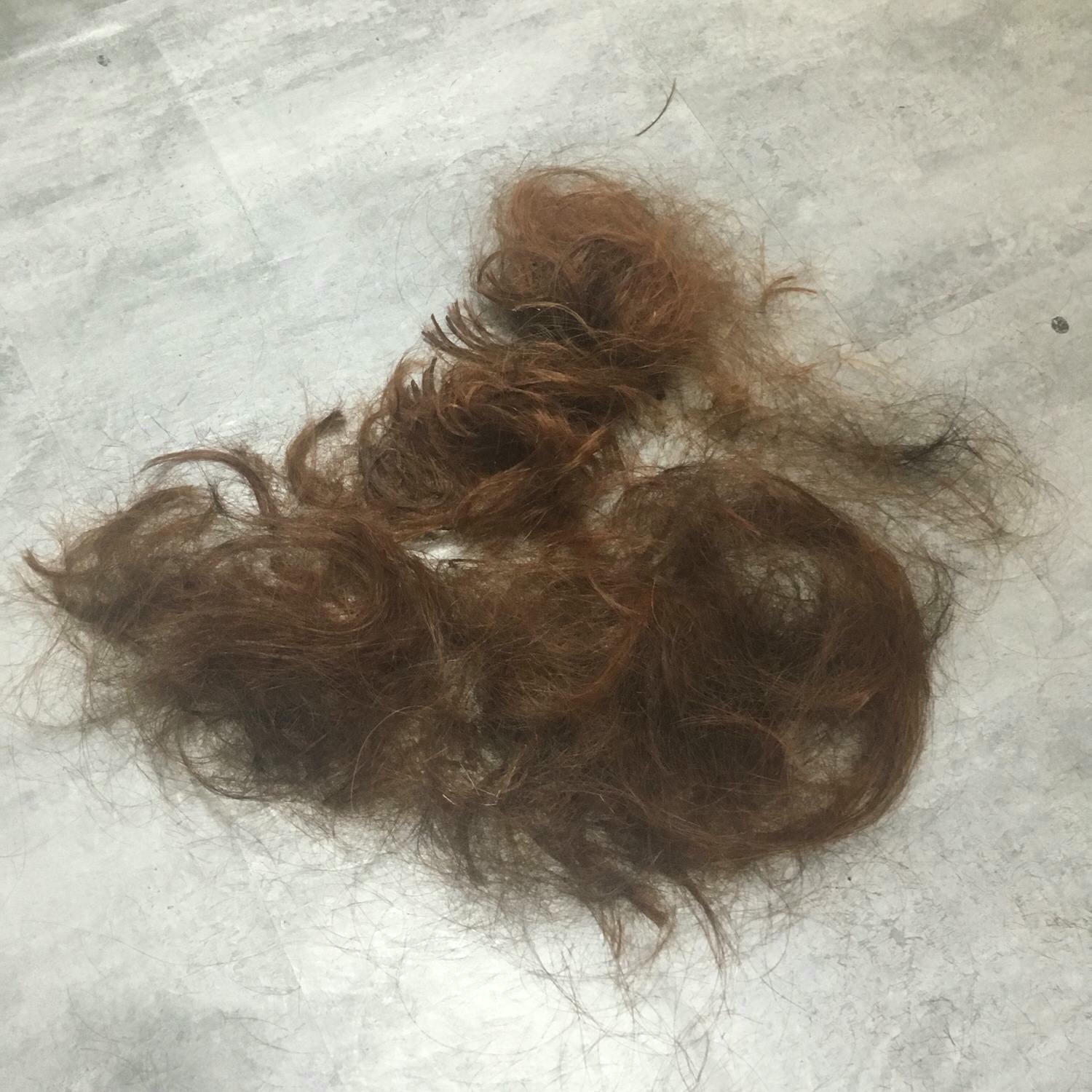 【染燙推薦｜W.D hair salon】台中西屯、福科、中科、東海商圈，貴婦級享受質感沙龍！